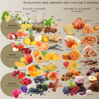 AuxRacinesDesBulles_Aromes_Champagne_140